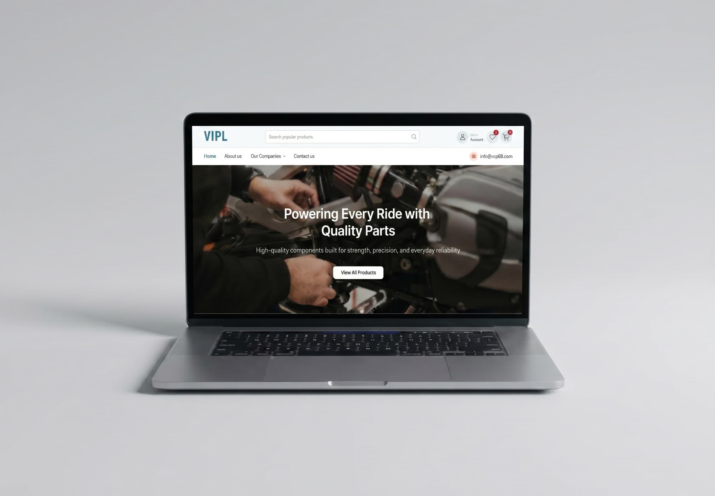 portfolio